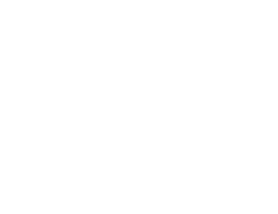 Kishinevsky Law Firm PLLC